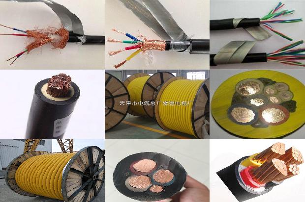 二芯电缆线规格型号1678948978133