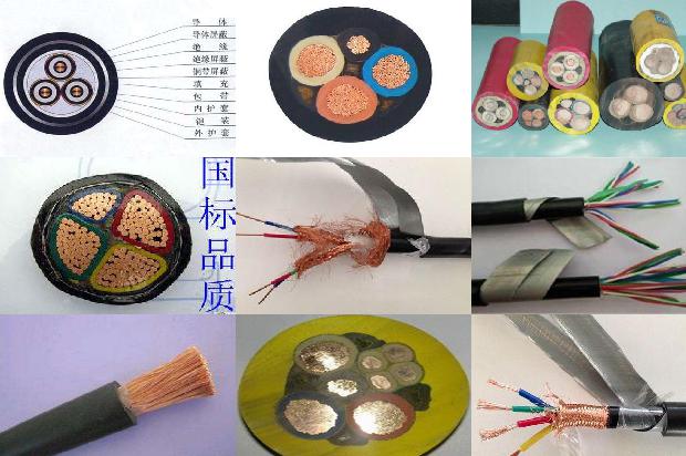 粗钢丝铠装电力电缆zryjv421679544602071