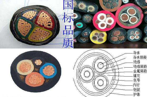 屏蔽电缆和铠装电缆