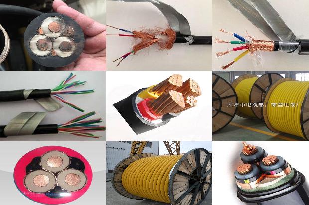 电力耐寒电缆1679977033820