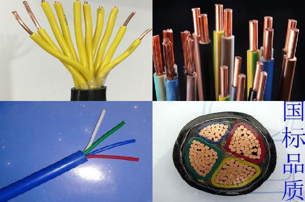 特种电缆检测1680239898410