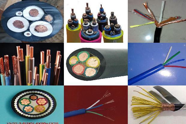 交联聚乙烯绝缘电力电缆样本