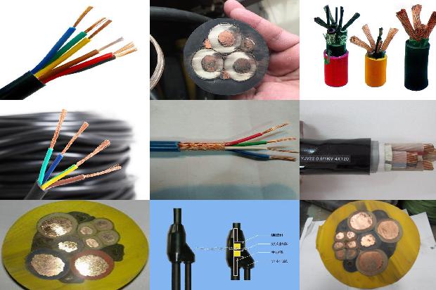 鸟在高压电线上