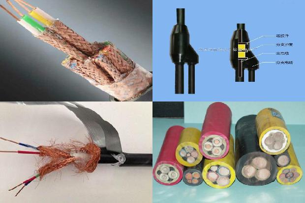 鸟在高压电线上1680484764352 鸟在高压电线上1680484764352