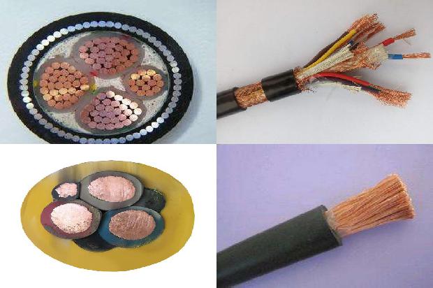 猴子高压电线1680511866229