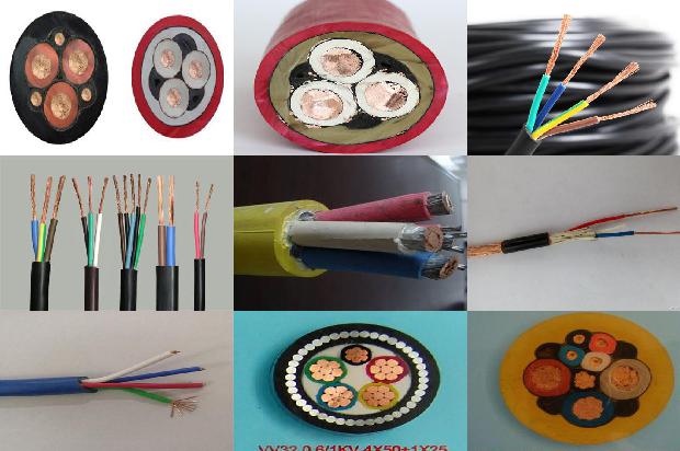 猴子高压电线1680511866325