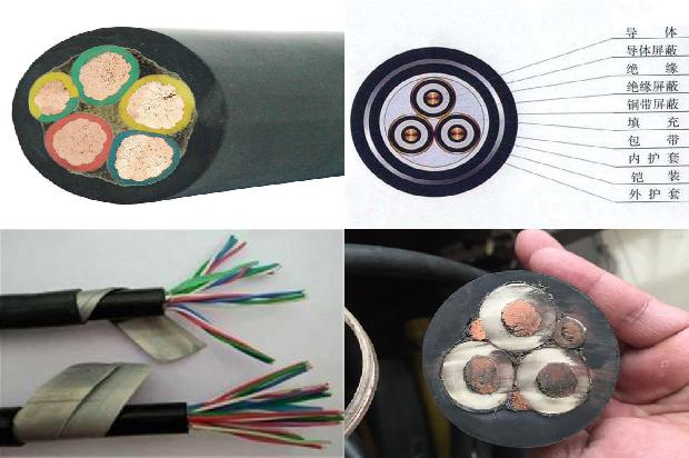 高压电线 鸟1680571329612 高压电线 鸟1680571329612