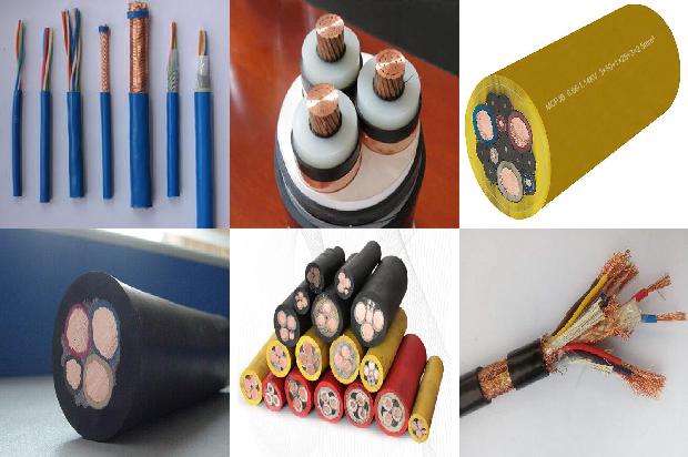 高压电线 鸟1680571329660 高压电线 鸟1680571329660