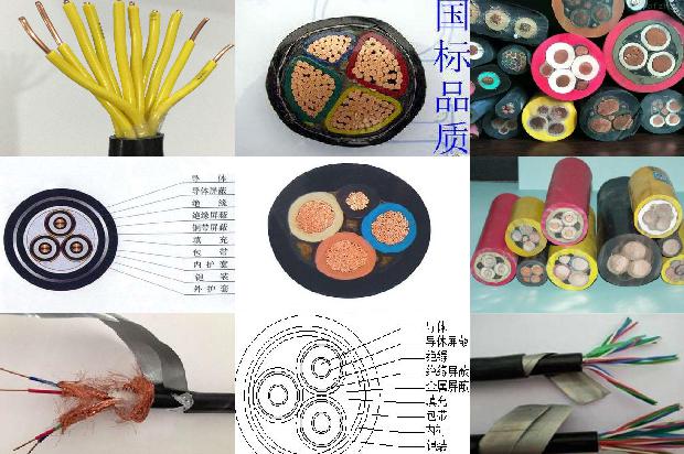 高压电线下钓鱼