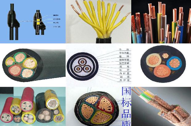 带钢丝绳电缆