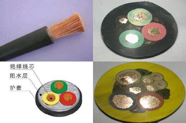 rvsp电线1680926082253