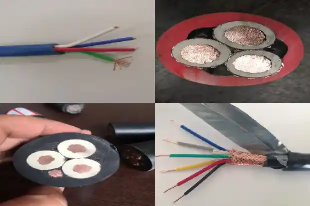 什么是rs4851681444093724 什么是rs4851681444093724