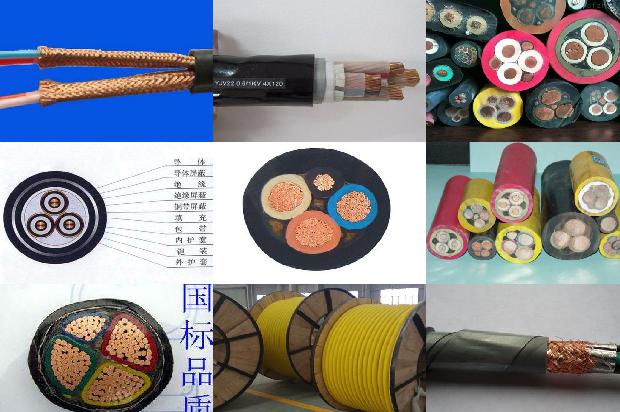 聚氯乙烯绝缘铜芯电缆(四)1726107761714 聚氯乙烯绝缘铜芯电缆(四)1726107761714