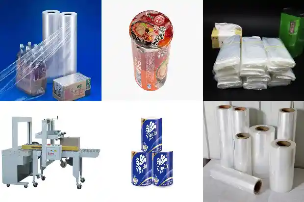 十公分桂花树批发价格