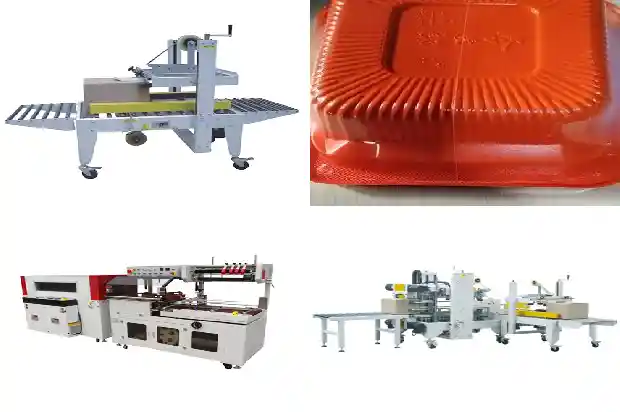 广东桂花树收购价格表