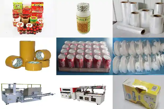 三米桂花树价格多少钱一盆