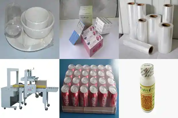 大的桂花树好移栽吗