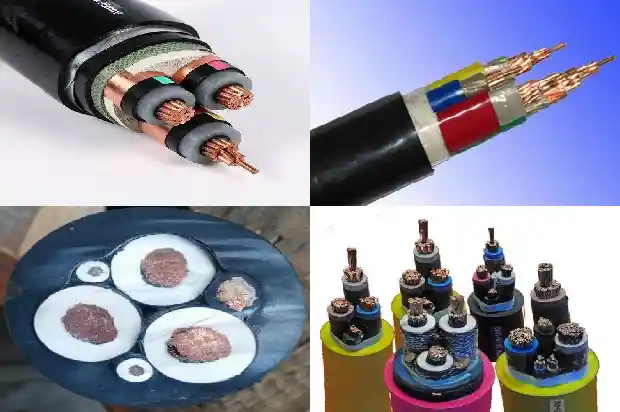 mypú�����1773710164691