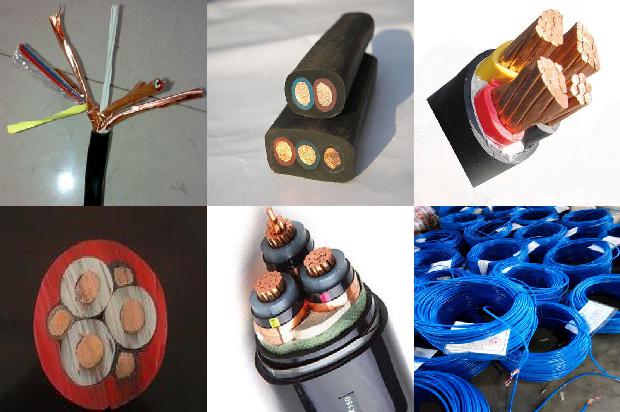 Ïð½ºÈíµçÀÂ1772239278173 Ïð½ºÈíµçÀÂ1772239278173